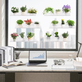 Windproof Window Plant Shelves 6 Pack - 15" Suction Cup Floating Shelf Set for Indoor Plants, Herb Gardens, Books & Decor, Bathroom and Kitchen Space-Saving Wall-Mounted Clear Acrylic Sill Extender