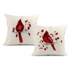 LOKMU Set of 2 Throw Pillow Covers Winter Christmas Cardinal