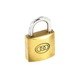 TRICIRCLE BRS Padlock 50MM S1176