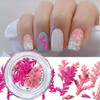 Real Dried Flowers Nail Decals Mini Fall Leaf Dry Flowers