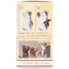 Salute ~ Cat ~ Box of 10