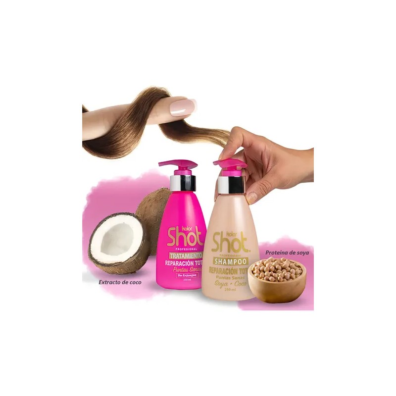 Shampoo Y Tratamiento Sin Parabenos P Cabello Maltratado