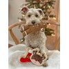 Midlee Gingerbread Man Rope Dog Toy