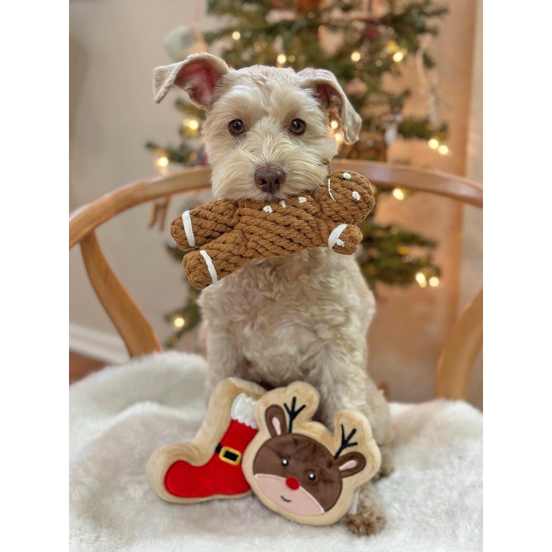 Midlee Gingerbread Man Rope Dog Toy