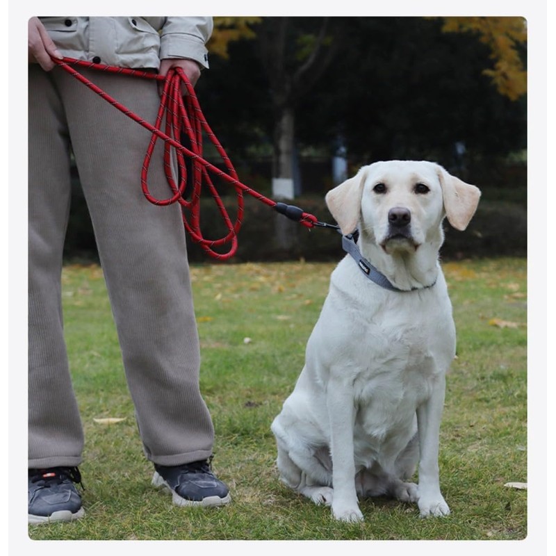 YYKSYDPT Long Leads 5m/10m/15m/20m,Suitable for Big and Medium Dogs,Tangle-Free Long