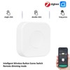 ZigBee 3.0 Smart Button Switch Mini Switch for DIY Home