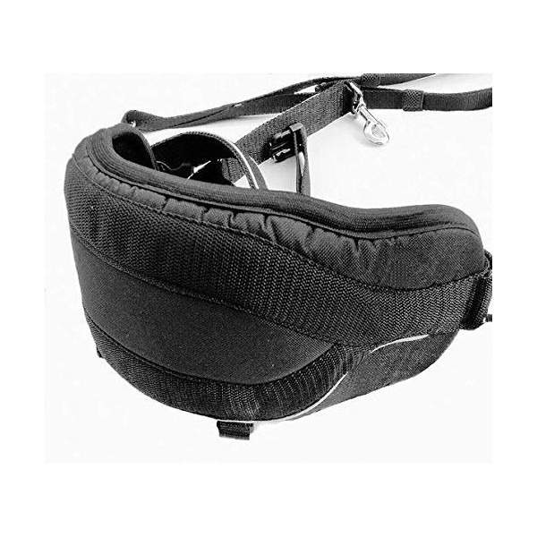 3rd Pole Professional Luxury Black Canicross Belt - Hiking Dog