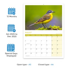 British Birds Calendar 2025 A4 12 Months 2025 Calendar Wall Family Calendar 2025 Month to View Papa Prints
