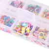 CCINEE Nail Art Slice with Fruit Flower Food Slice Assorted