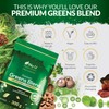 Nu U Nutrition - Premium Greens Powder 300g - 32
