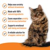 VETIQ Serene Calming Tablets for Cats & Dogs, Helps with