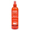 Cantu Comeback Curl Next Day Curl Revitalizer, 12 Fluid Ounce