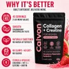 Creatine & Collagen Powder for Women, Strawberry Watermelon, 45 Servings