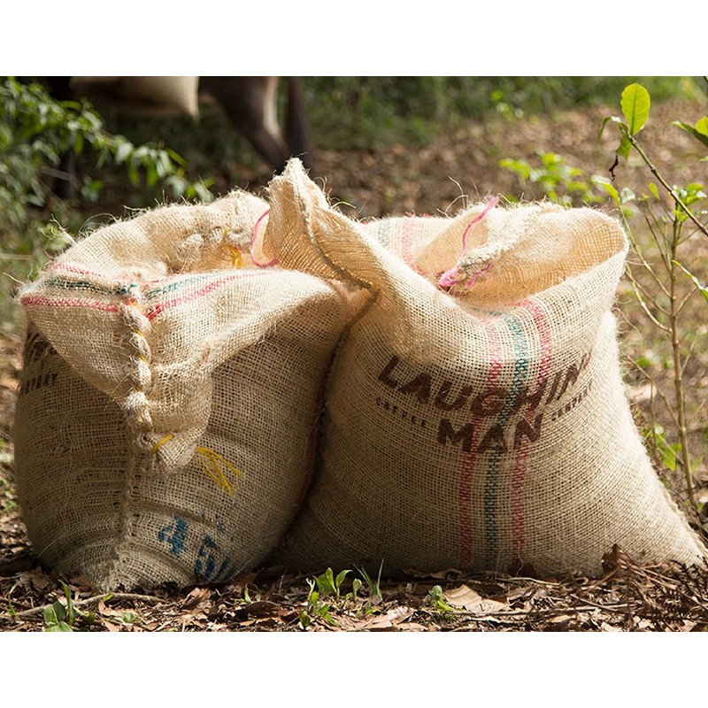 Laughing Man Dukale's Blend, Single-Serve Keurig K-Cup Pods, Medium Roast