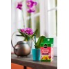 Miracle-Gro Water Soluble Orchid Food, Plant Fertilizer, 8 oz. (12-Pack)