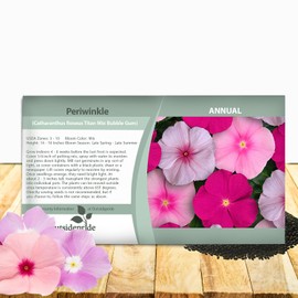 Outsidepride Titan Bubble Gum Mix Periwinkle Seeds for Planting – 100 Pcs Annual, Fast-Blooming, Heat & Drought Tolerant Vinca Flower Seeds with Vibrant Colors for Gardens, Beds & Containers