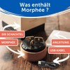 Morphée - Meditation Box Completely Offline - For Fast Sleep