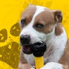 Tonka Axle Tread Dog Toy with Interactive Feeder, Lightweight, Durable
