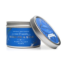 Holday Aromatherapy Candles (Mint & Vanilla, 3 Ounce Silver tin)