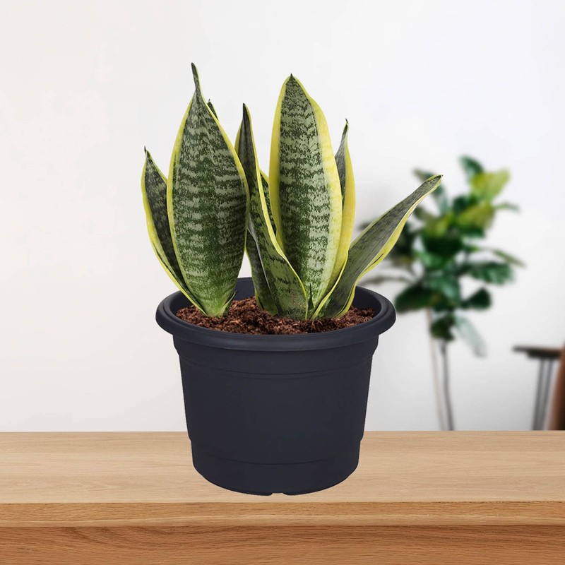 Whitefurze G01R35 35cm Milano Round Planter - Gunmetal Grey