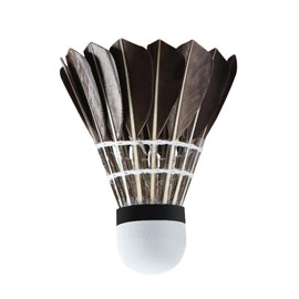 Aiivow Goose Feather Badminton Shuttlecocks Birdies High Speed Training Badminton Balls with Great Stability for Indoor Outdoor