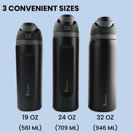 2MillionStore Insulated Water Bottle with Straw & Spout Lid - Leakproof - Simple and Modern Style (Purple, 24 Oz (706ml))