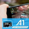 ADATA Premier 256GB MicroSDHC/SDXC UHS-I Class 10 V10 A1 Memory