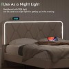 Vecelo Bed Frame with LED Light USB Ports Queen Full