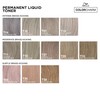 COLORCHARM Permanent Liquid Toners| Neutralize Brass| Free of Parabens| Vegan|
