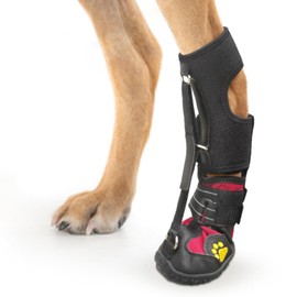 Strap-On Drop Foot Brace (No Knuckling Boot Brace) for Dogs— Corrective Dog Shoes to Safely Lift Toes for Foot Issues, Arthritis, and improving Walking gait in Dogs(L)