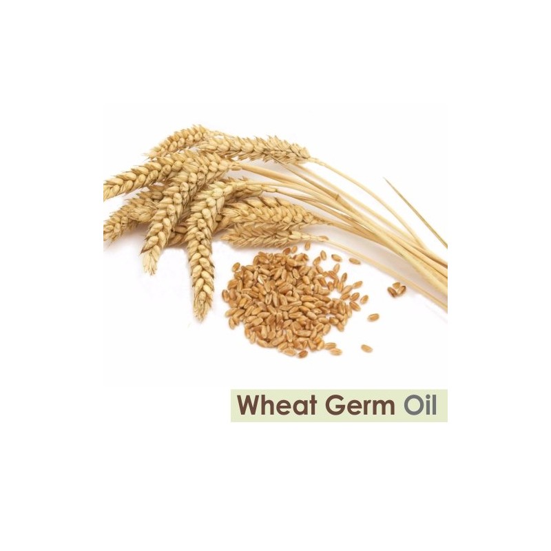 Wheat Germ Essential Oil 100% Pure & Natural - Undiluted
