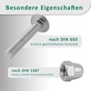 DSM - Carriage Bolts M6 x 40mm DIN 603 -