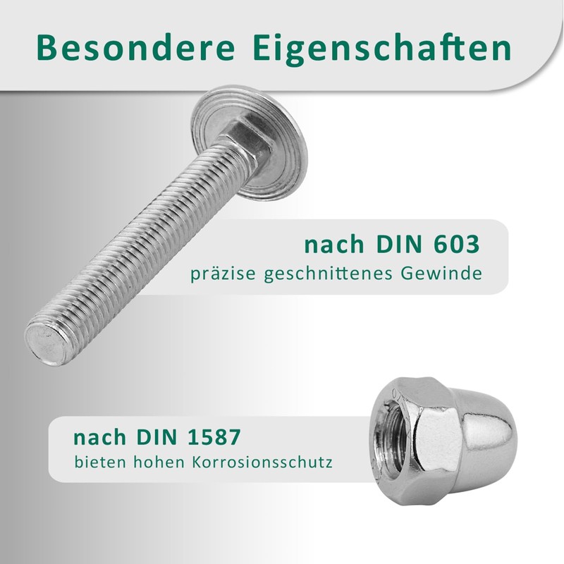DSM - Carriage Bolts M6 x 40mm DIN 603 -