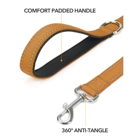 Taglory Dog Leads for Medium Large Dogs | Double Sided Reflective | Soft Neoprene Padded Handle | 2.5 cm Wide by 180 cm Long | Tan