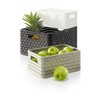 Rotho Country Rattan Effect Storage Box, 6 Litres, Plastic (Polypropylene),
