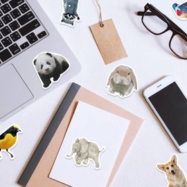 Gxizlba Cute Animal Stickers Realistic Oil Painting Animals Decals for Kids Teens Adults 50 Pcs Funny Zoo Animals Vinyl Waterproof Sticker for DIY Water Bottles Laptops Notebook
