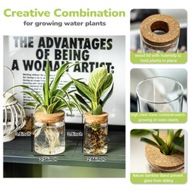 Glass Propagation Stations for Plants -Desktop Flower Vases,Propagation Flower Vases Set – 2 Sizes Planter Propagated Jars ,for Plant Cuttings,for Living Room, Bedroom Decoration,Home,Office Decor(8)