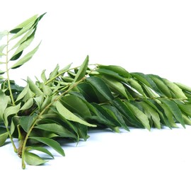 Fresh Curry Leaves 50G