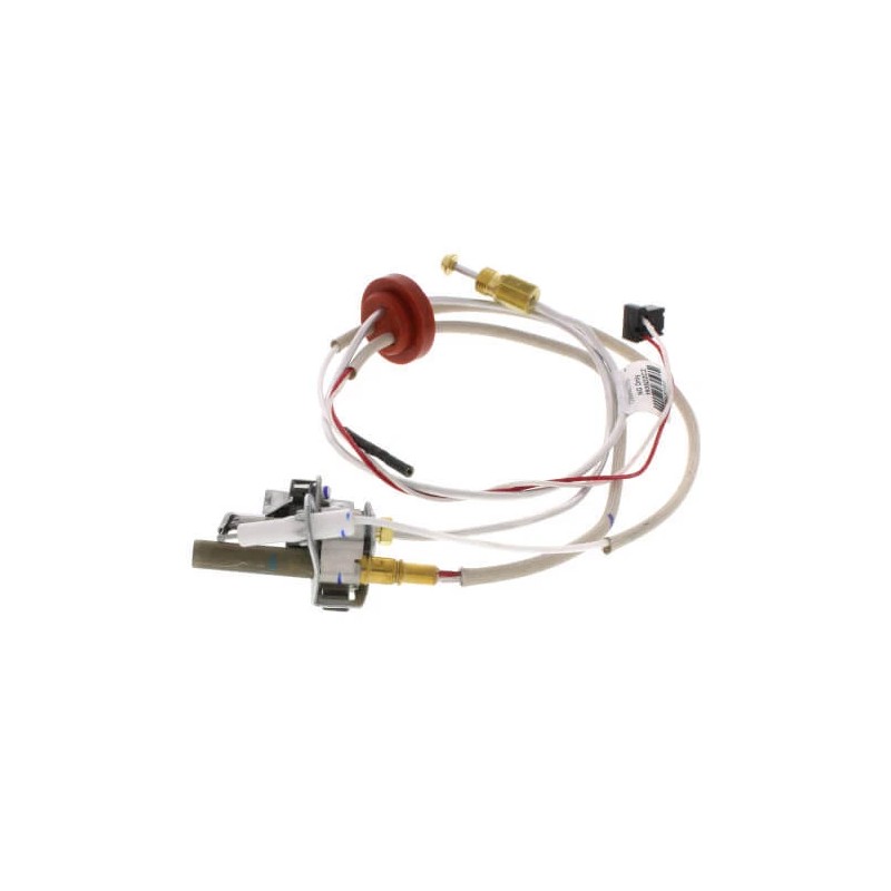 Rheem-Ruud SP21058 Pilot Assembly Replacement Kit