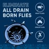 Fruit Fly Drain Treatment | Drain Fly Eliminator | Eliminates