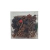 Oberle 80582 Christmas Pine Cones Cones and Accessories Various Sizes