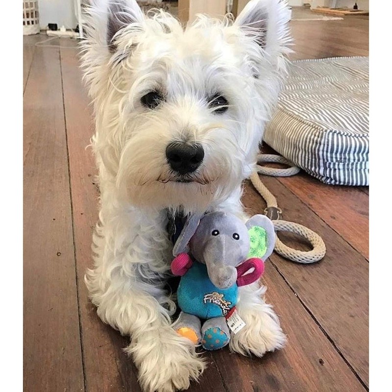 GiGwi (GiGwi) Dog Toy, Plush Friends Puffy Animal Elephant