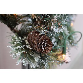 NorthWood Distributing Pinecones - Premium Fragrance Oil for Soap, Diffuser, Candle Fragrance Oil, Lotion, Body Scrub, Body Butter, Aromatherapy - 4 Fl Oz