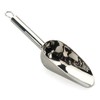Stainless Steel Scoop, Medium