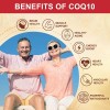 Coq10 200mg Con 120 Softgels Salud Corazon Hecho En Usa