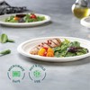 Stack Man Stack Man 100% Compostable Paper Plates 10 Inch