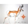 National Target NRA Pronghorn Antelope Life-Size Game Targets (HF 07920), 60" x 42" (2 folded)