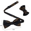DiBanGu Mens Black and Gold Pretied Bow Ties Floral Bowtie