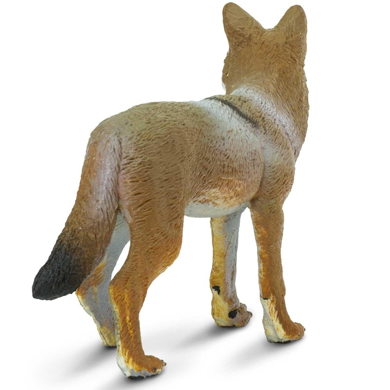Safari Ltd. Coyote Figurine - Lifelike 3.75" Model Figure -