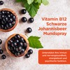 Healthspan Healthspan Vitamin B12 Mundspray | 250 g B12 |
